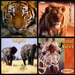 2007 Wildlife Calendars