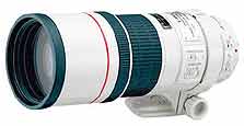 Canon EF 300mm f/4 L IS USM telephoto lens