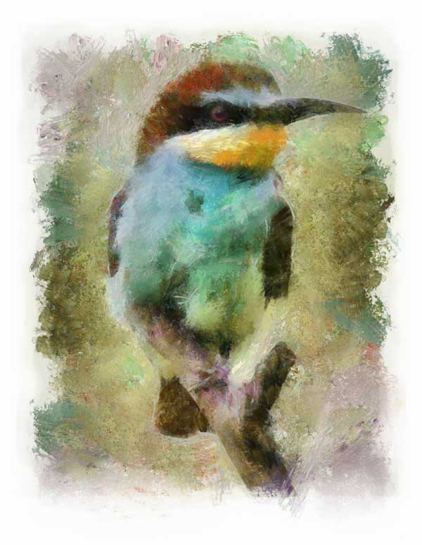 European bee-eater, impressionist style