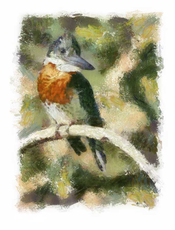 Giant kingfisher rendered impressionist style