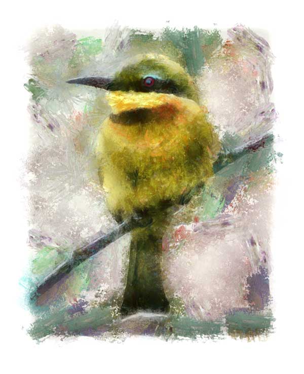Little bee-eater digitally painted, impressionist style