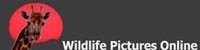 Wildlife pictures online logo