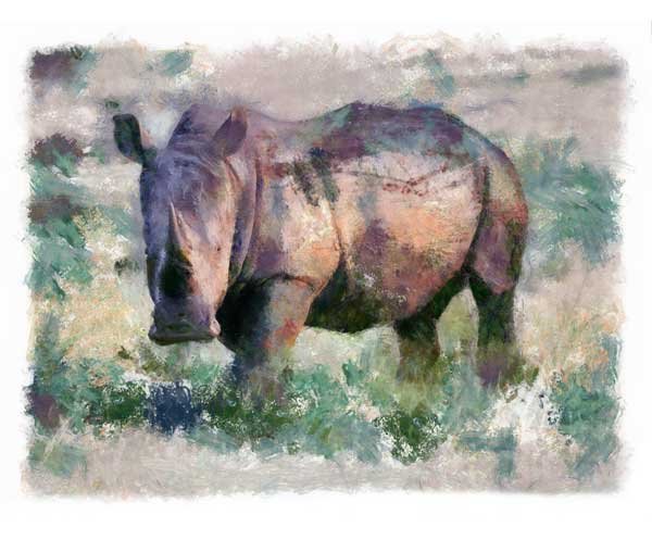 Rhino with mud-encrusted hide, digitally painted