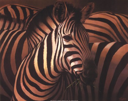 Zebra grande fine art print