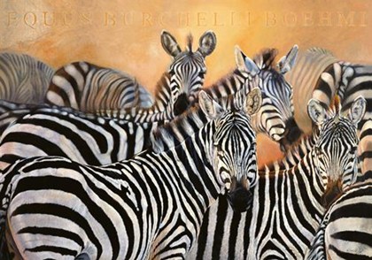 Zebra art print Punda Milia