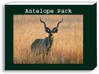 antelope photo pack