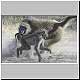 Baboon bullying youngster