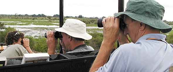 Using binoculars for wildlife viewing