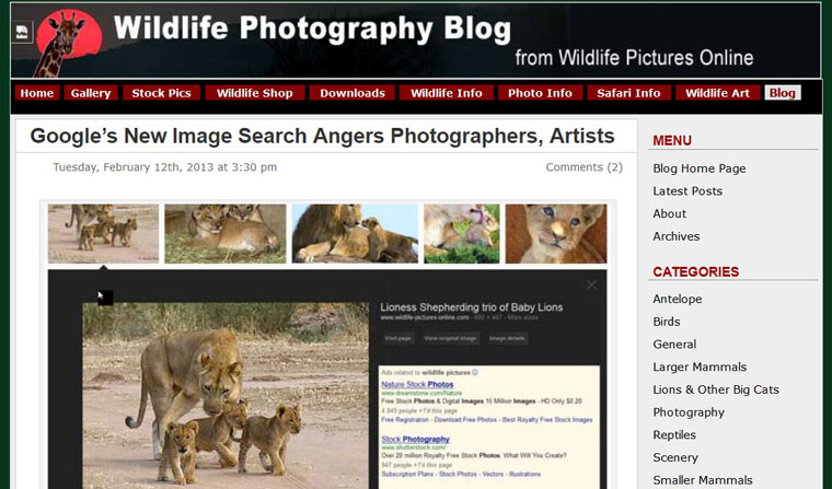wildlife-photography-blog-old-page