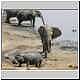 Adult elephant harasses hippo