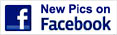 New pics on Facebook