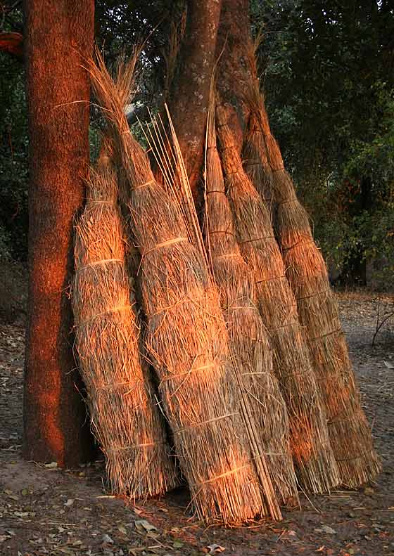 Grass Sheaves, Shakawe, Okavango Panhandle