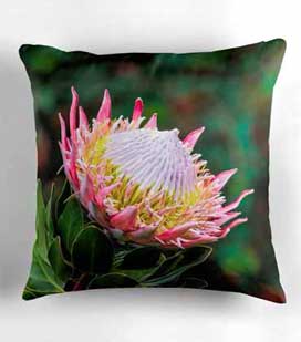 king-protea-pillow