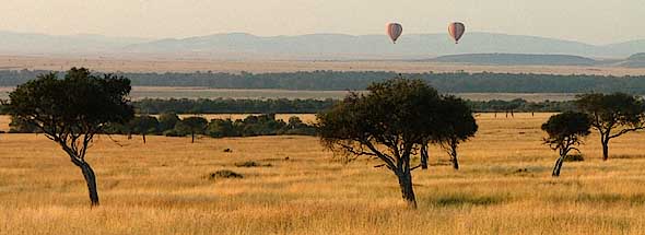 Hot-air ballooning over the Masai Mara