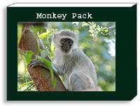 monkey photo pack