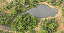 Petes Pond aerial view