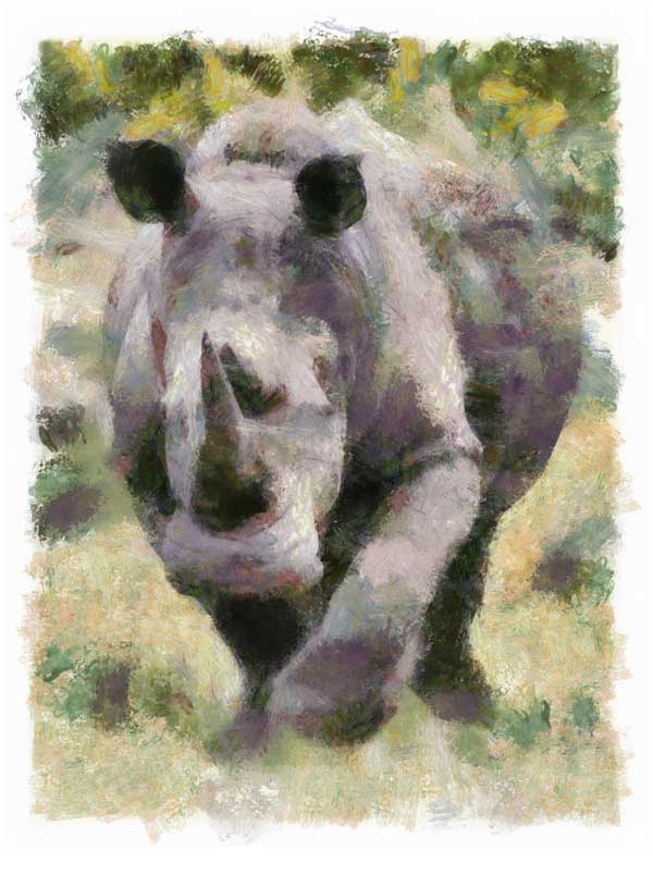 White rhino on the charge, digitally painted