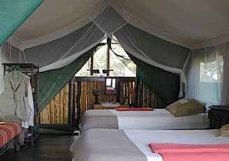 Safari tent interior