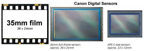 sensor and film size comparison for Canon 50D