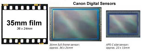 How Crop Factor Affects the Canon EOS 50D SLR camera