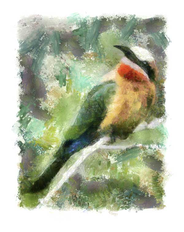 White-fronted bee-eater as digital painting