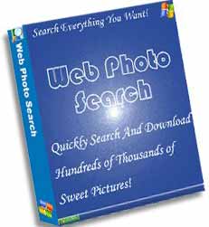 Web Photo Search box