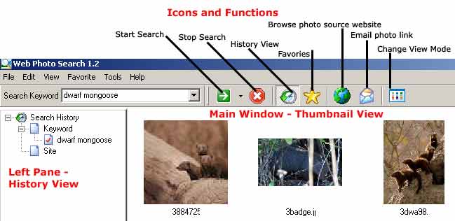 Web Photo Search Interface