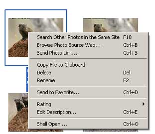 Web Photo Search - right-click menu