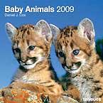 baby animal calendars