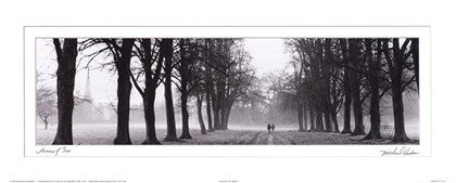 Art print of avenue of trees in black and white