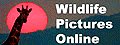 Wildlife Pictures Online logo